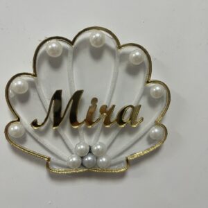 Магнитче мида